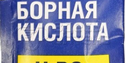 Kako liječiti ribizle s bornom kiselinom